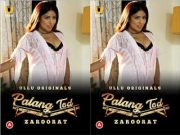 Palang Tod (Zaroorat) Episode 1